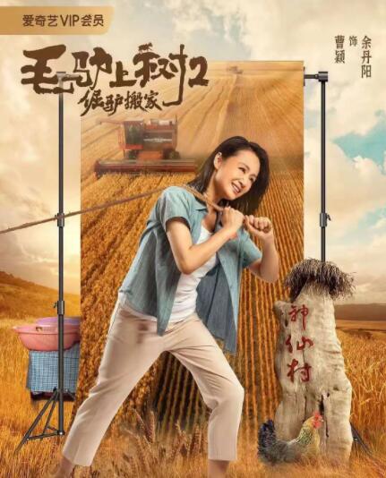 每天晚上都对她好