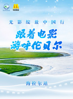 国产精品99久久久久久www