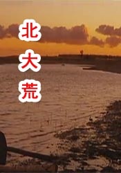 午夜在线观看视频你懂